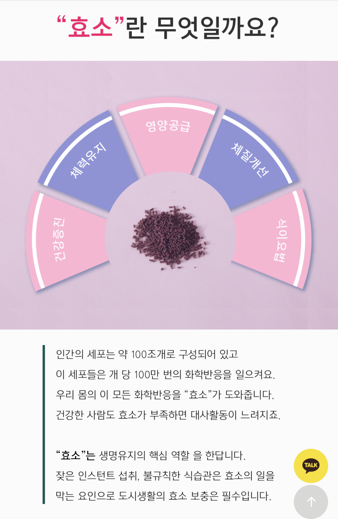 Very Berry Enzyme - kbeauty